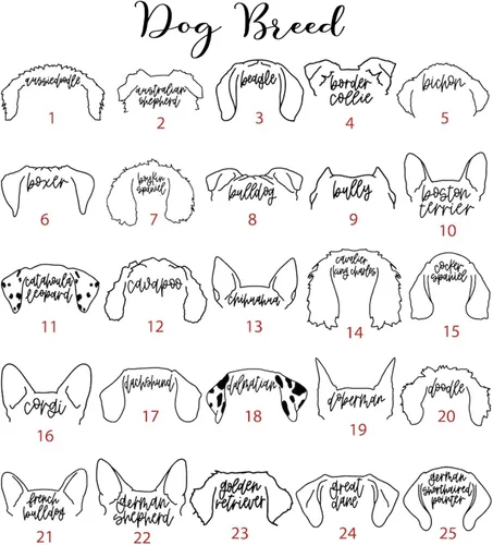 Vista 3 de IZI POD Sudadera personalizada de raza de perro, sudadera con orejas de perro con nombre, sudadera con capucha para perro y papá
