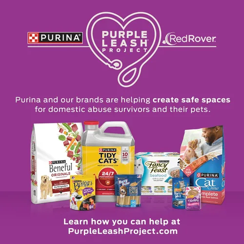 Vista 12 de Alimento seco para gato con fórmula nutritiva de Purina Kitten Chow, 14 lb