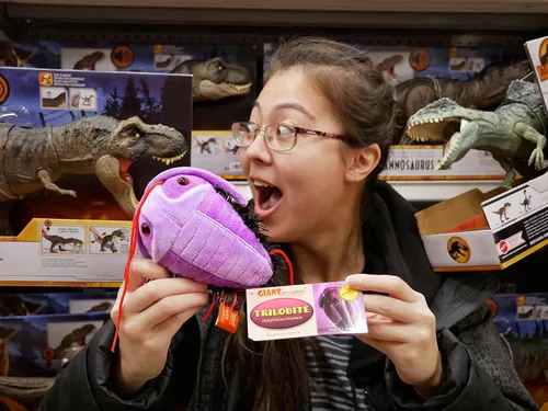 Vista 5 de GIANT MICROBES Fuzzy Fossils Trilobite Plush - Aprende sobre fósiles y criaturas prehistóricas, regalo único para familiares, amigos, científicos