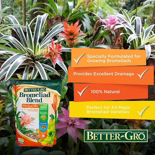 Vista 8 de Better-Gro Mezcla de bromelia 8 cuartos