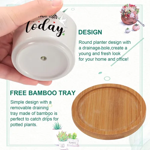 Vista 3 de 6 piezas de juego de regalos con versículos de la Biblia cristiana, gracioso juego de macetas para plantas suculentas con bandeja de bambú, maceta
