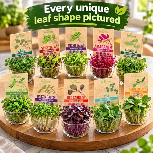 Vista 5 de Microgreen Seeds - Paquete de 10 semillas variadas premium de Estados