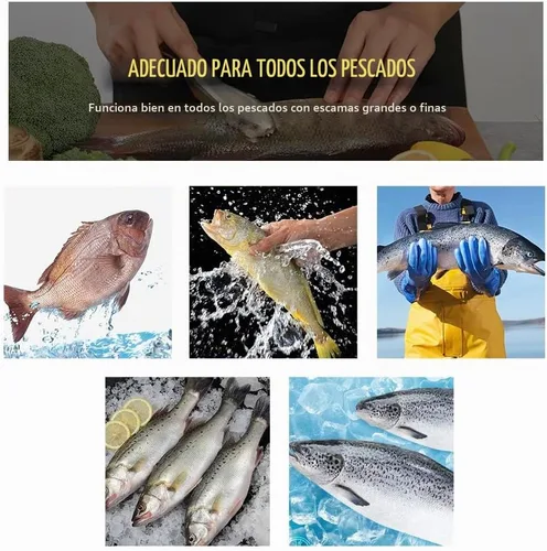 Vista 6 de Desincrustador de pescado de acero inoxidable para desincrustar peces sin ensuciar, resistente removedor de escamas de pescado, herramienta 1 Pieza