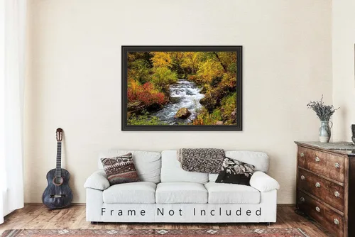 Vista 5 de Black Hills Photography Print (Not Framed) Picture of Creek Surrounded by Fall Foliage on Autumn Day in Spearfish Canyon South Dakota Nature Wall