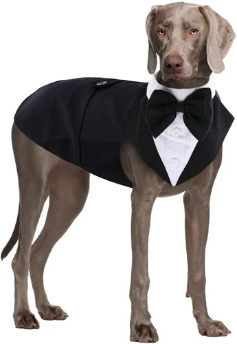 Vista 14 de QBLEEV Esmoquin para perros pequeños, conjunto de traje y bandana, traje de boda con corbatín, disfraz formal de esmoquin para Halloween, Navidad