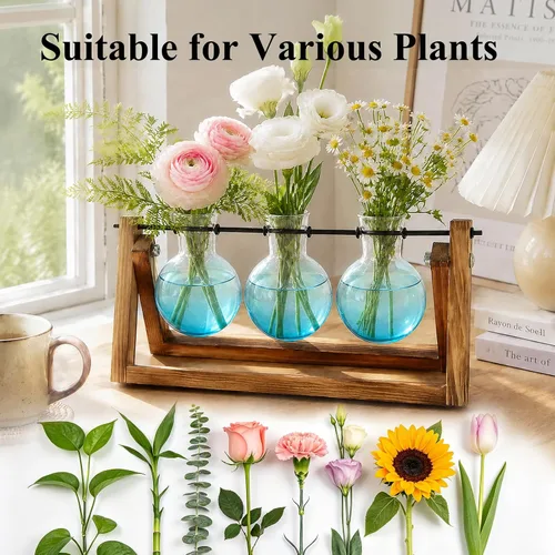 Vista 6 de XXXFLOWER Kit de terrario para plantas con soporte de madera, 3 jarrones de Azul