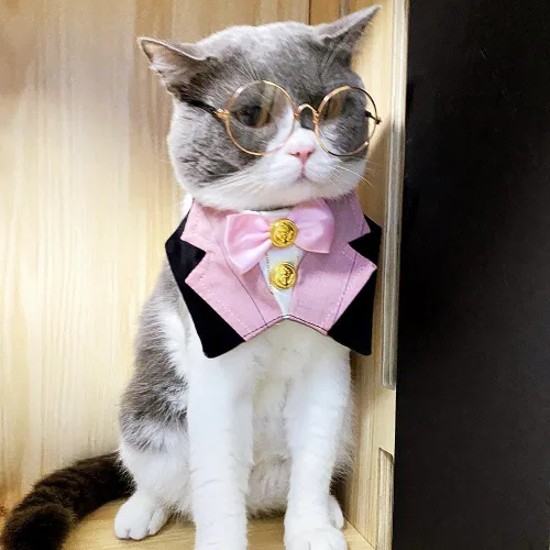 Vista 7 de Collar de bandana formal de boda para perro y gato con pajarita y gafas de sol (rosa)
