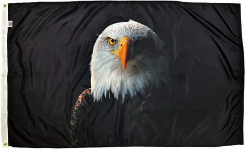Vista 10 de FlagSource Bandera de 3 x 5 pies con texto "An Appeal to Heaven". Fabricado en los Estados Unidos.