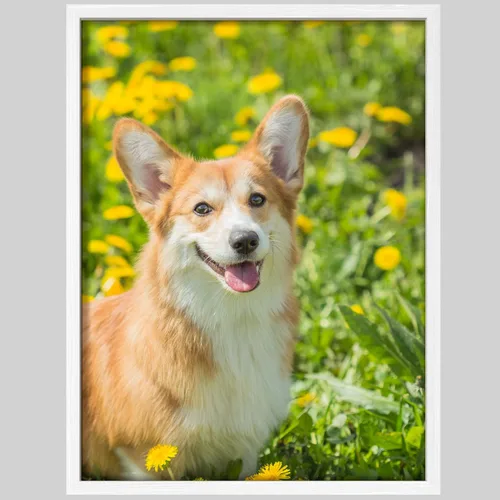 Vista 13 de NWT - Fotografía personalizada sobre lienzo con diseño de mascota y animal