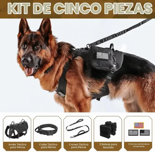 Vista 2 de Forestpaw - Juego de arnés táctico para perro, collar y correa elástica, S, color negro