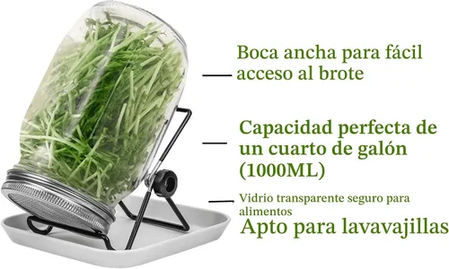 Vista 2 de Lulonpon Juego de 2 tarros para cultivar brotes, tarros de boca ancha de un cuarto de galón con tapas de germinación de pantalla de acero