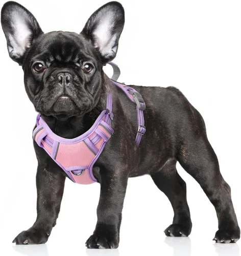 Vista 94 de BARKBAY Arnés para Perro Sin Tirones Talla Grande Arnés Reflectante para Perro con Clip Frontal y Asa de Control Fácil para Caminar Entrenar Correr
