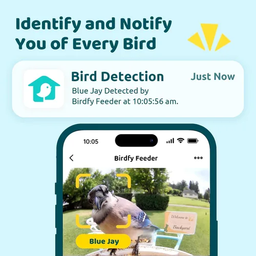 Vista 2 de NETVUE by Birdfy - Alimentador inteligente para pájaros con cámara AI 2K alimentado por energía solar, observación inalámbrica de aves silvestres