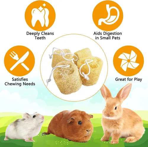 Vista 5 de 12 piezas de juguetes masticables de conejo, juguete masticable natural de conejo, lufa, juguetes para moler dientes de chinchilla, conejillo