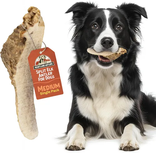 Vista 10 de Heartland - Astas de alce enteras para perros (4-5 pulgadas, paquete de 2) – Masticables dentales de larga duración e inodoros para masticadores