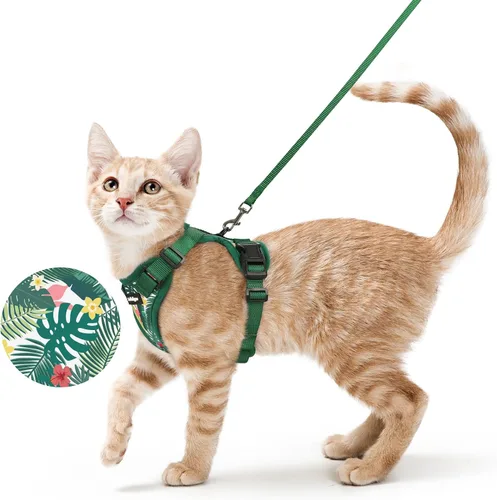 Vista 55 de rabbitgoo Cat Harness and Leash Set, Escape Proof Vest, XXS, Berry Pounce Soft Breathable Mesh, No-choke Adjustable Fit, Snap Buckles, Sturdy
