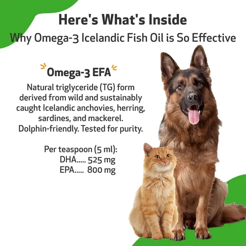 Vista 6 de Pet Wellbeing Aceite de pescado islandés omega-3 para perros, pescado salvaje, agua fría, piel y pelaje saludables, salud y movilidad