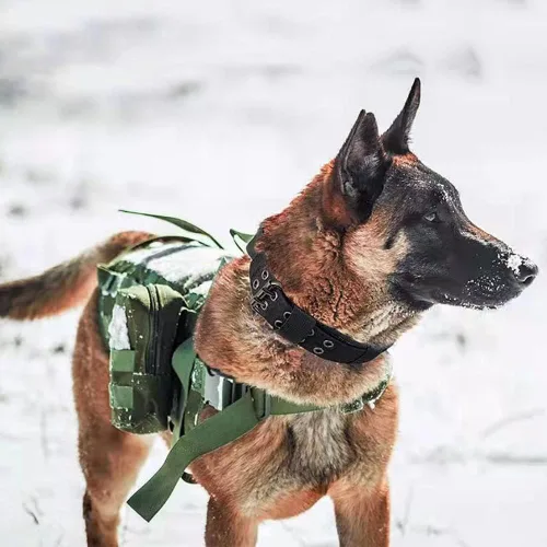 Vista 6 de Collar táctico para perro, collar militar ajustable con anillo en D de metal y hebilla, collar de entrenamiento de nailon resistente para perros