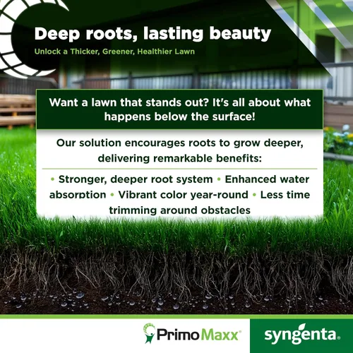 Vista 3 de Regulador de crecimiento de plantas Primo Maxx
