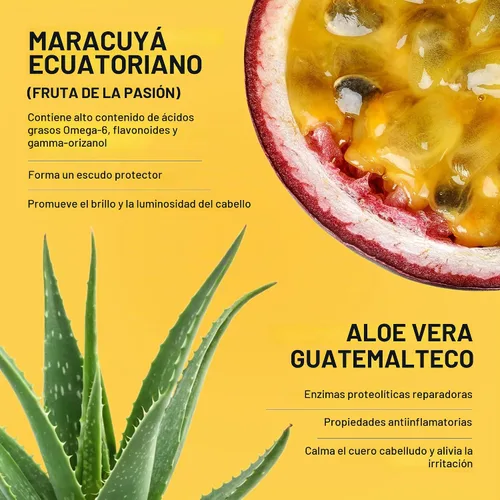 Vista 4 de Ceremonia Scalp Power-Duo Aceite de Moska & Scalp Masajeador Aloe Vera Babassu Castor 2 Fl Oz 60 mL