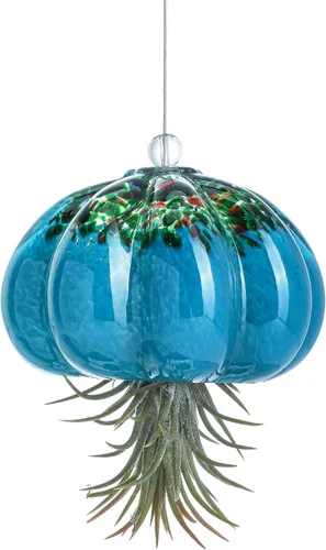 Vista 10 de H&D HYALINE & DORA Terrario de cristal soplado a mano colgante con diseño de medusa de aire para plantas de aire, decoración para jardín, porche