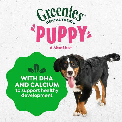 Vista 9 de Greenies Golosinas dentales naturales recomendadas por veterinarios para cachorros, tamaño pequeño, golosinas dentales para perros, paquete de 6