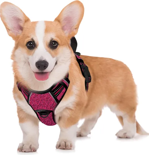 Vista 17 de BARKBAY Arnés para Perro Sin Tirones Talla Grande Arnés Reflectante para Perro con Clip Frontal y Asa de Control Fácil para Caminar Entrenar Correr