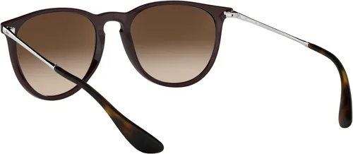 Vista 6 de Ray-Ban Rb4171 Erika - Lentes de sol redondas