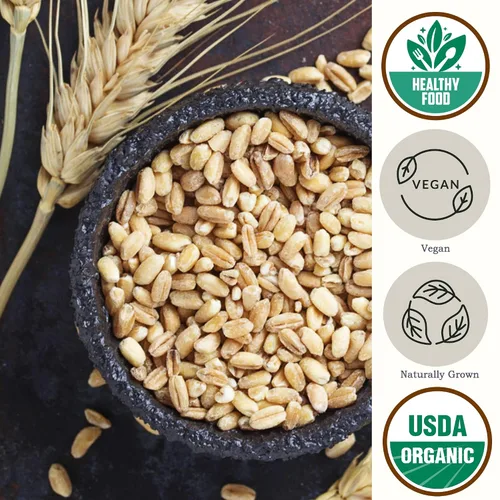 Vista 3 de Grano Farro Orgánico 4.8 lb – Bayas de trigo Emmer enteras a granel Granos
