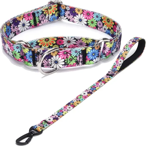 Vista 28 de Collar de perro de nailon resistente, collar ajustable de martingala para perros para caminar y entrenamiento para perros machos y hembras perros