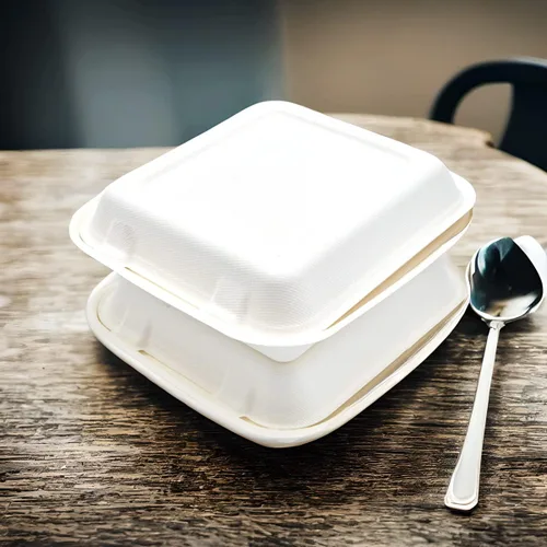 Vista 8 de Recipiente para llevar de 6 x 6 pulgadas, resistente, 100% biodegradable, apto para horno, hecho de fibras ecológicas de bagazo de caña de azúcar a