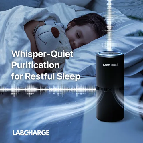 Vista 3 de Lab Charge Purificador de Aire Iónico Pequeño para Hogar y Dormitorio – Filtro HEPA Silencioso – Cubre 250 Pies Cuadrados - Limpiador Libre