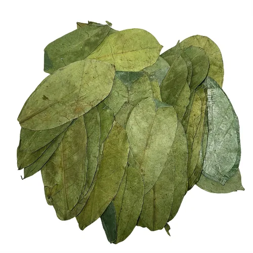 Vista 5 de East Java® Hojas de Guanábana Recién Secas (Annona Muricata) 400 Hojas