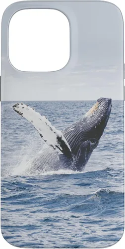 Vista 21 de Whale Case for iPhone 17