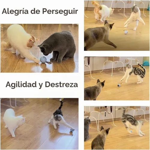 Vista 5 de Migipaws Juego de juguetes interactivos para gatos, rastreador divertido, bola de persecución automática con cola esponjosa, un pequeño ratón Azul