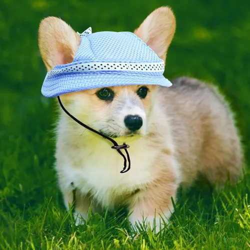 Vista 4 de Sombrero para perros extra pequeños para llevar cachorros con agujeros para las orejas y correa para la barbilla, sombrero de visera para perro Azul