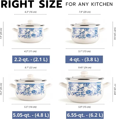 Vista 7 de Bird of Paradise Belly - Olla profunda con tapa de vidrio, olla de cocina con tapa y asas, olla multiusos para cocina en el hogar, utensilios