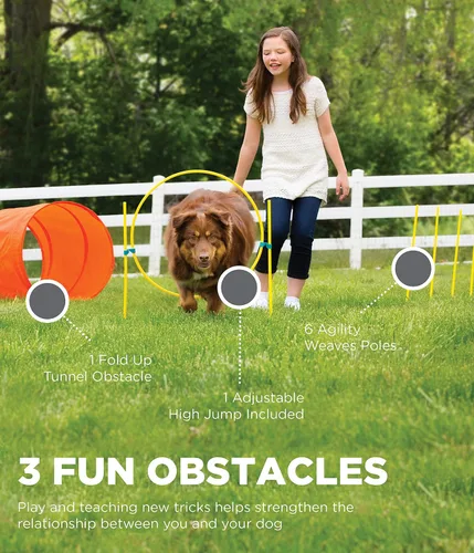 Vista 5 de Outward Hound Kit de entrenamiento de agilidad de perros Zipzoom para perros