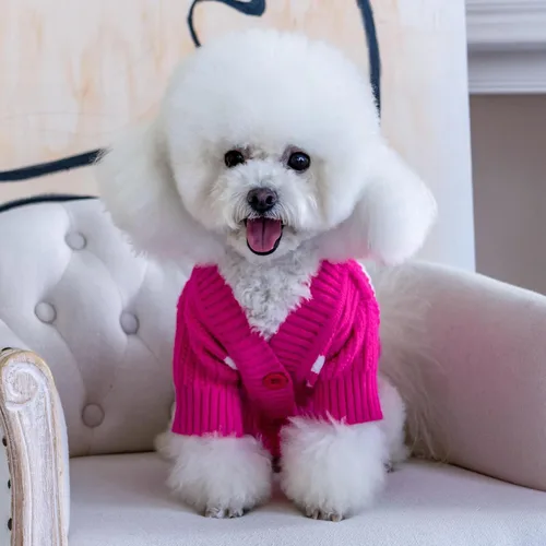 Vista 4 de CuteBone - Suéter de punto a rayas para perros, ropa de invierno de punto rosa para perros pequeños, gatos, niño, niña, atuendo para mascotas