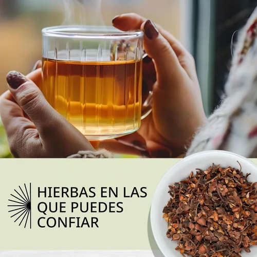 Vista 6 de Evergreen Herbs Flor De Tila (Chiranthodendron Pentadactylon) - Bolsa de pie resellable para garantizar la frescura (Tila, 8 onzas)