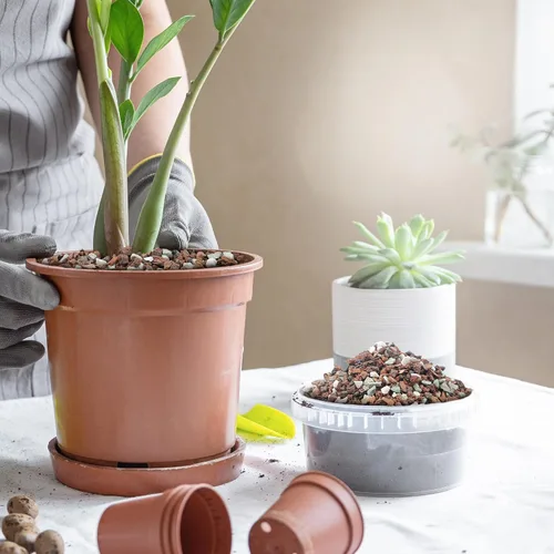Vista 6 de Mezcla de suelo para bonsái de 2 cuartos, lava, corteza, roca volcánica, zeolita verde y perlita, mezcla orgánica natural para plantas en maceta