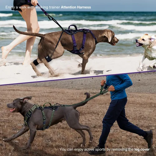 Vista 5 de Arnés para perro sin tirones para perros grandes, arnés táctico resistente con asa, fácil control y mejor entrenamiento de modales con correa
