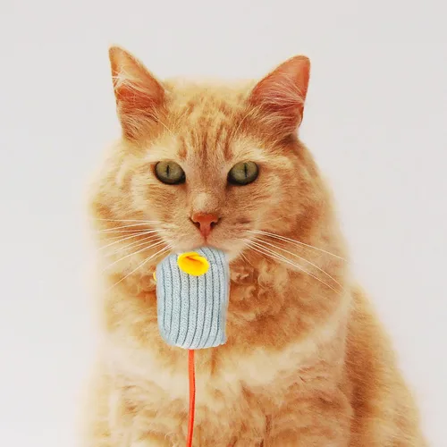 Vista 9 de 6pcs Plush Striped Cat Mouse with Catnip Soft Lightweight Interactive Chew for Indoor Cats and Kittens Wear-Resistant Material for Active Play and