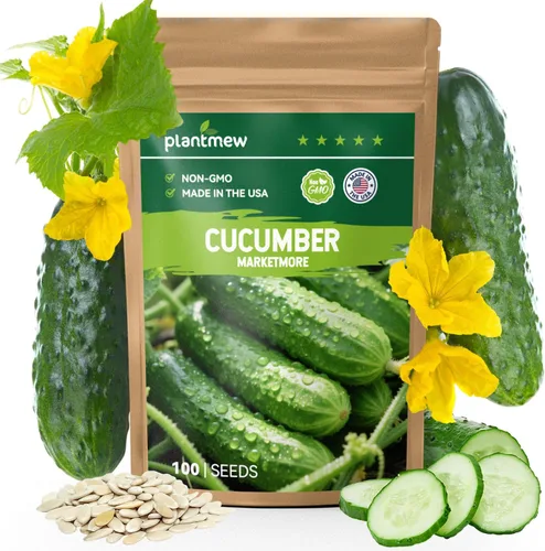 Vista 7 de Semillas de Calabacín para Plantar - 45 Semillas de Calabaza de Verano Black Beauty - Sin OGM, Paquete de Semillas de Vegetales Reliquia para Jardín