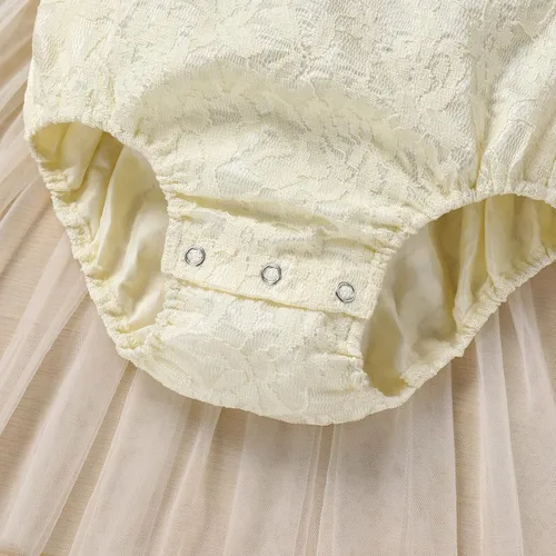 Vista 65 de Traje de bebé niña primer cumpleaños traje de encaje tul mameluco princesa tutú vestido de un año cumpleaños pastel Smash fotografía ropa