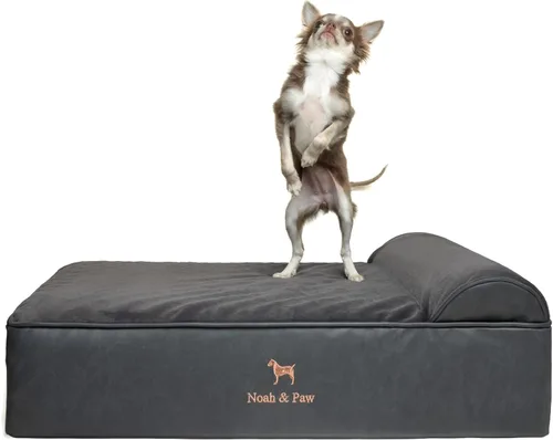 Vista 22 de NOAH & PAW Cama pequeña para perros, 20 x 15 x 6.5 pulgadas, cama para gatos de interior, espuma viscoelástica ortopédica de cáscara de huevo Verde