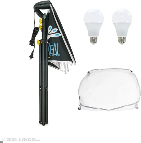 Vista 2 de LINCO Lincostore AM270 - Kit de iluminación de estudio para fotografía fotográfica continua, 16 x 16 pulgadas, con 2 bombillas de retrato