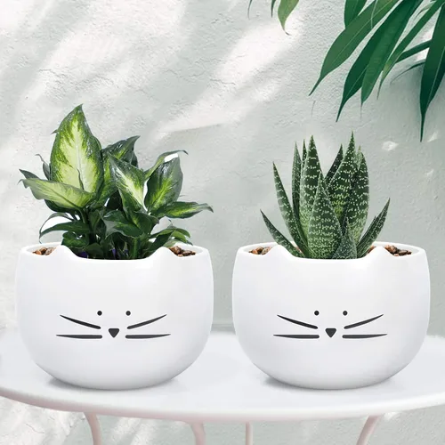 Vista 6 de Koolkatkoo Juego de 2 macetas para suculentas de 5.5 pulgadas con diseño de gatos