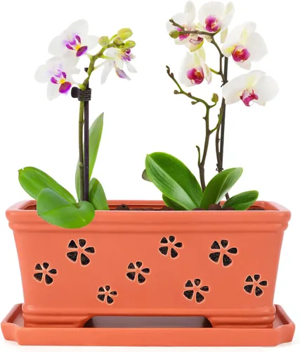 Vista 7 de Maceta rectangular de cerámica para orquídeas de 10 pulgadas con agujeros y platillo, color blanco, drenaje efectivo y ventilación para orquídeas