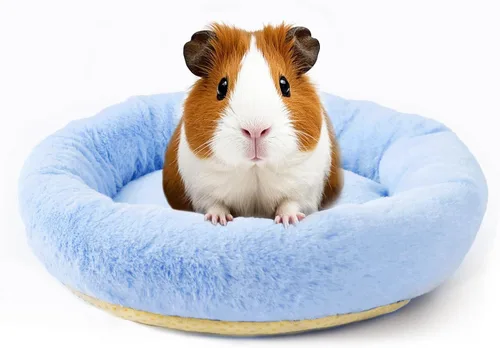 Vista 9 de FEBSNOW Cama de conejillo de indias y hámster para animales pequeños con cepillo removedor de pelo